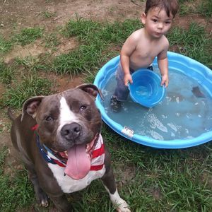 Meet your Posher, James